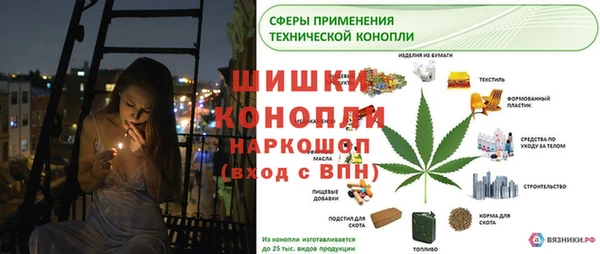 спиды Пестово