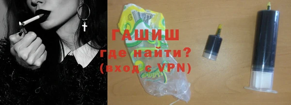 амф Тайга