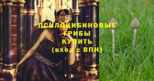 мяу мяу мука Пересвет