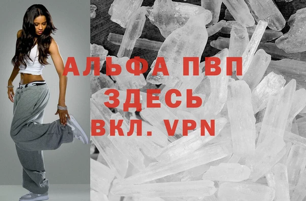 спиды Пестово