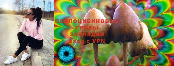 соль ск Переславль-Залесский