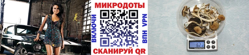 Галлюциногенные грибы Psilocybine cubensis  сколько стоит  Минусинск 