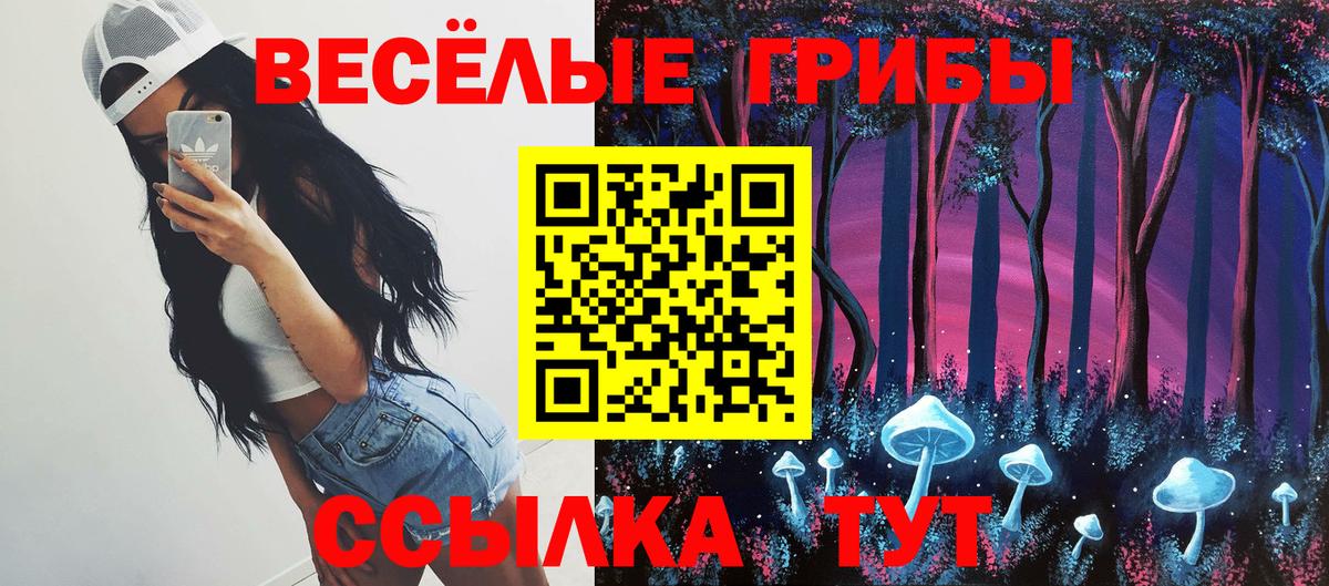 Псилоцибиновые грибы мухоморы Минусинск